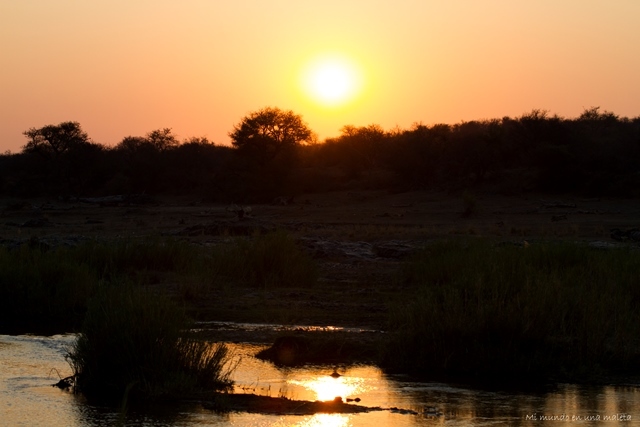 Kruger National Park: de Satara a Olifants - SUDÁFRICA EN EL CORAZÓN (JULIO 2015) (27)