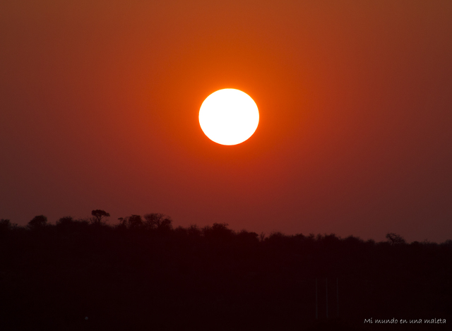 Kruger National Park: de Satara a Olifants - SUDÁFRICA EN EL CORAZÓN (JULIO 2015) (30)