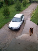 Slika