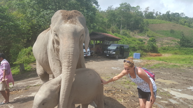 Chiang Mai - Tailandia y Camboya 2015, el viaje soñado (12)