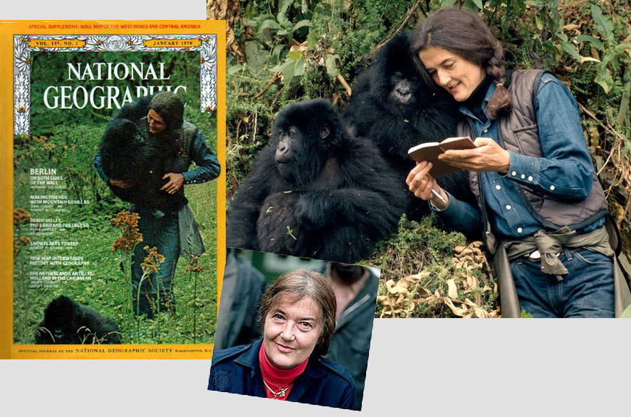 Dian_Fossey_NGM.jpg