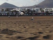 Lanzarote en 7 días - Blogs de España - Dia 1 - LLegada desde Malaga y acomodacion. Toma de contacto con playa. (2)