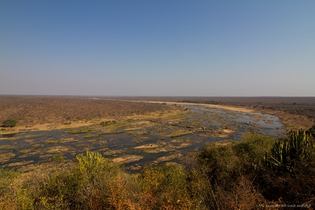 Kruger National Park: de Satara a Olifants - SUDÁFRICA EN EL CORAZÓN (JULIO 2015) (24)
