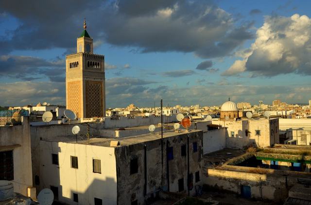 AGRIDULCE TUNEZ - Blogs de Tunez - SIDI BOU-SAÏD Y TUNEZ CAPITAL (22)