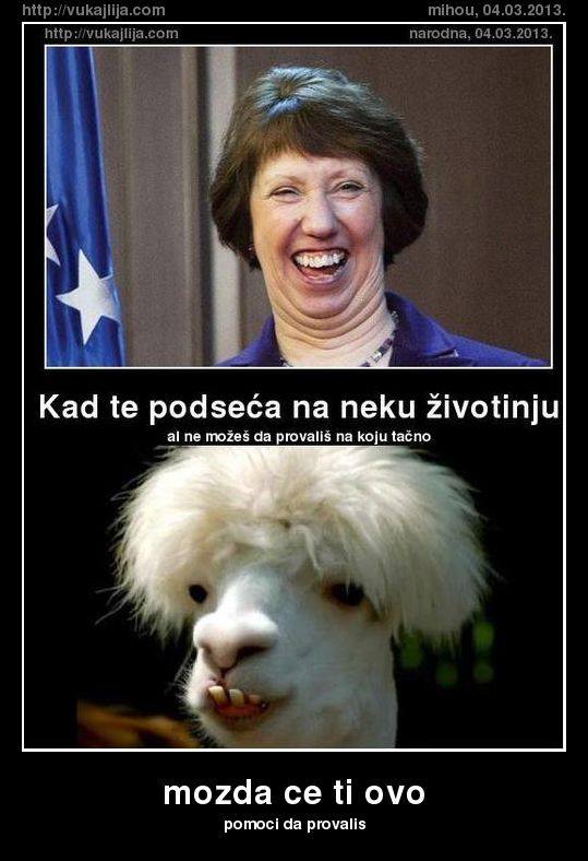 Slika
