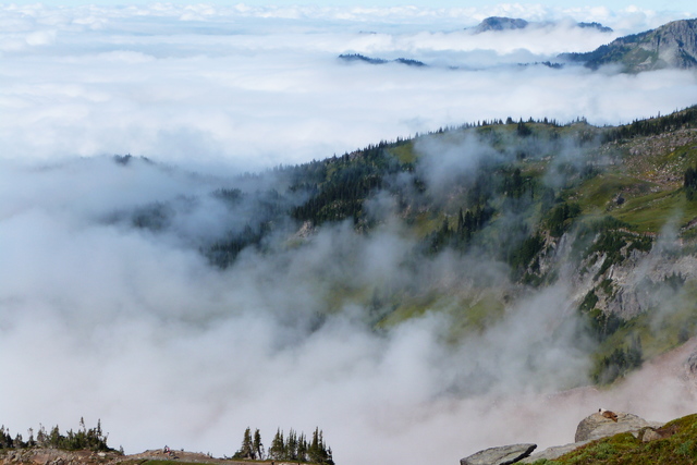 Día 22: Mount Rainier NP - Las maravillas del Noroeste de los Estados Unidos (12)