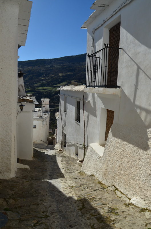 CAPILEIRA-10-3-2017-GRANADA - Los pueblos más bonitos de España-2010/2023 (17)