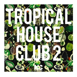 tropical house vol 2 (2017) mp3 320 kbps