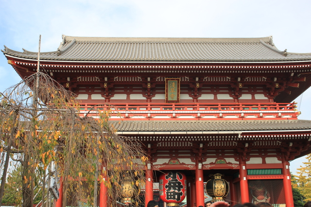 Otoño en Japón (2016) - Blogs of Japan - Día 2. 15 de noviembre, martes. Tokyo. (1)