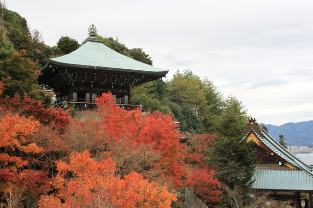 día 10. 23 de noviembre, miércoles. Kyoto-Himeji-Miyajima - Otoño en Japón (2016) (4)