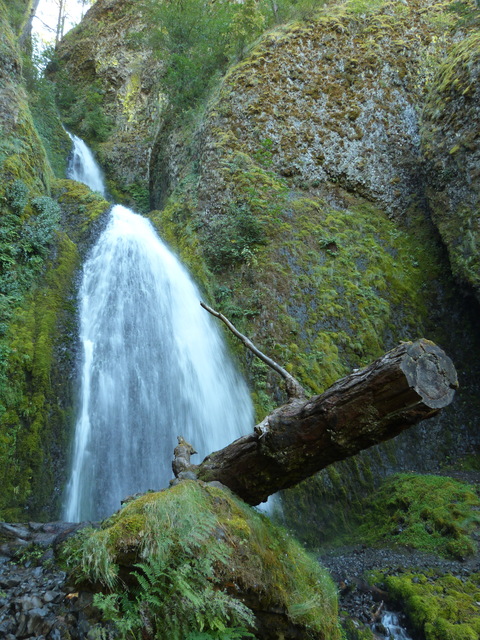 Día 8: Portland - Columbia River Gorge - Mount Hood - Las maravillas del Noroeste de los Estados Unidos (9)