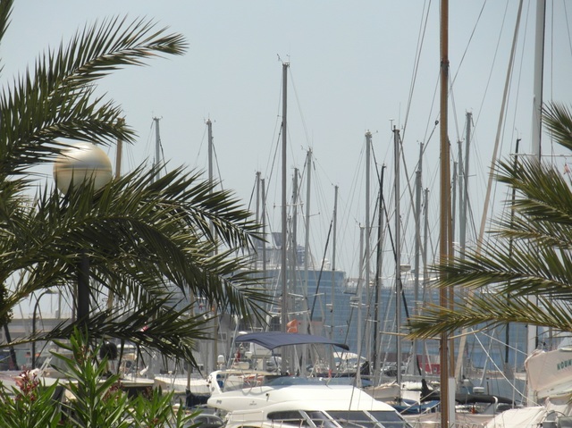 CRUCERO COSTAS CRISTALINAS - MSC ARMONIA (20-27 JUL/2015) - Blogs de Mediterráneo - PRIMER DÍA: 20-07-2015. Embarque en Palma de Mallorca (4)