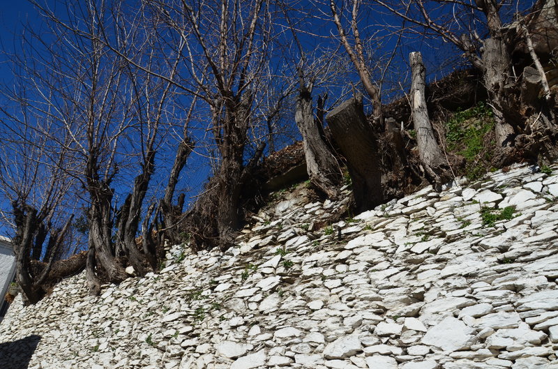 CAPILEIRA-10-3-2017-GRANADA - Los pueblos más bonitos de España-2010/2023 (31)