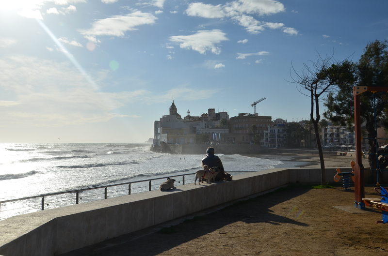 SITGES-5-11-2016 - Barcelona y sus pueblos-2014/2016/2017 (5)