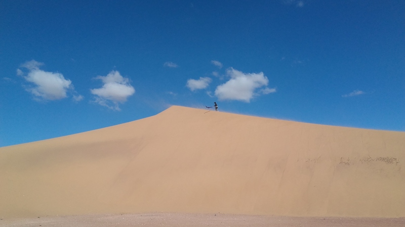 8 dias por el desierto marroqui - Blogs de Marruecos - M´hamid-Hara Oasis (10)