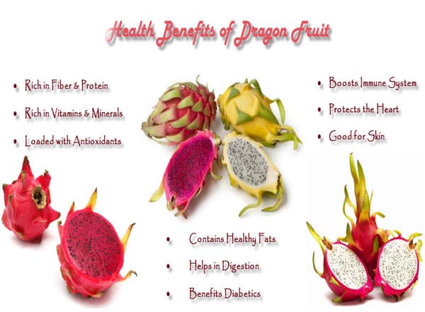 Health_Benefits_of_Dragon_F.jpg